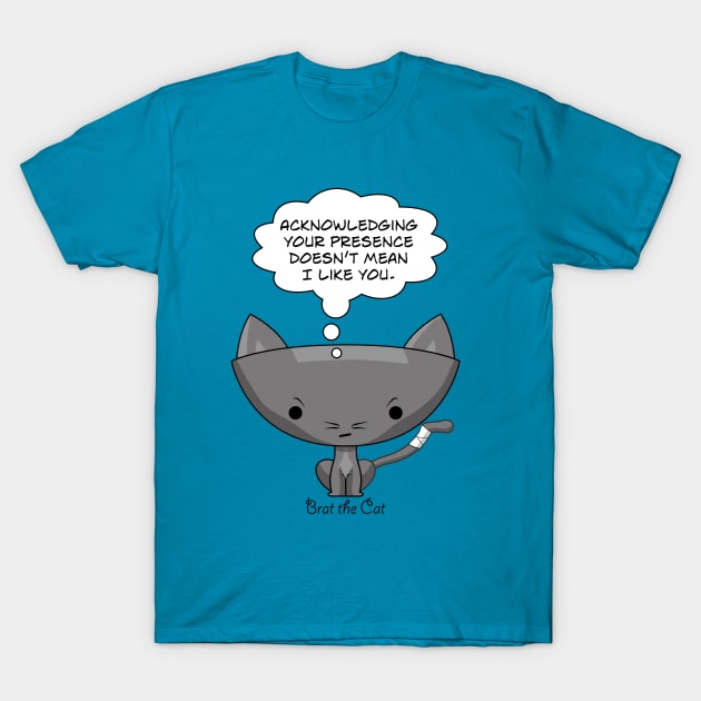 Doesn't Mean I Like You. T-Shirt by tonylaidig@gmail.com